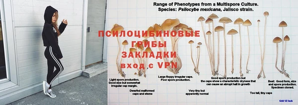 твердый Горнозаводск